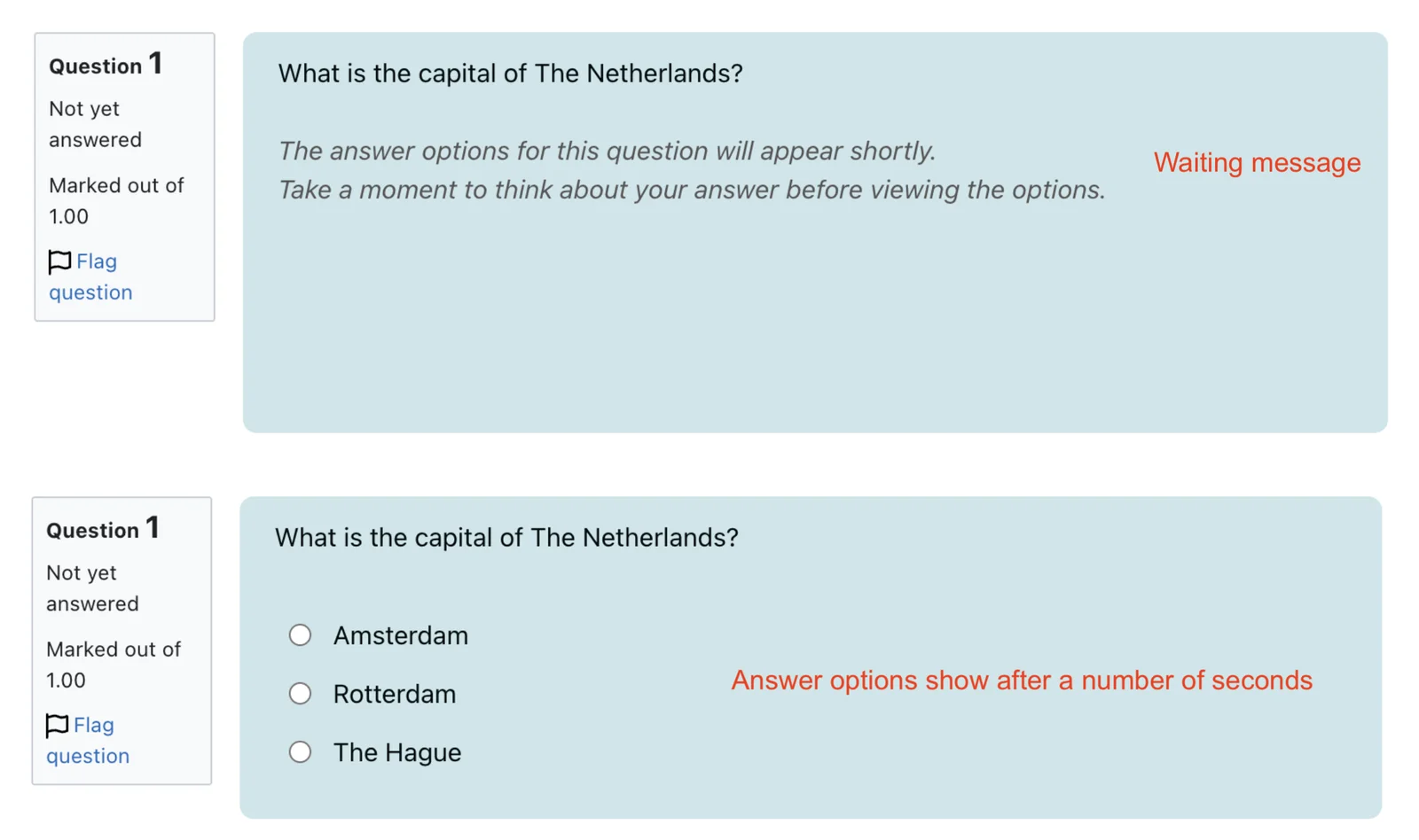 Delayed Answer Display - Moodle™ Plugin - Screenshot 1
